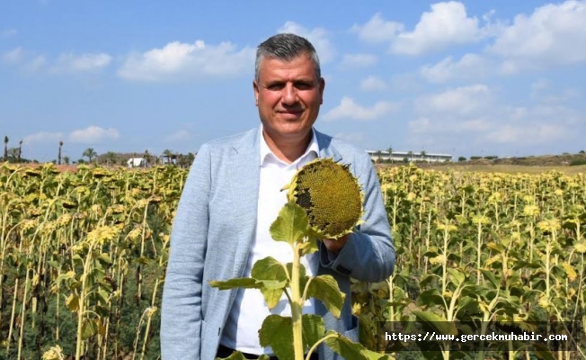 "Ayçiçeği üreticisinin mağduriyeti giderilsin"