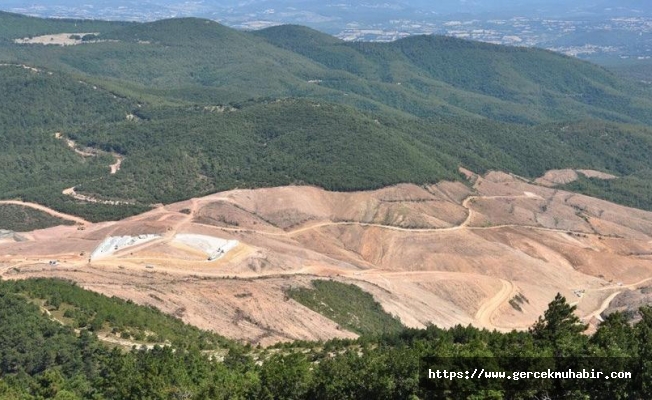 Kaz Dağları’nda ağaç katliamı yapan şirkete ‘süper’ teşvik