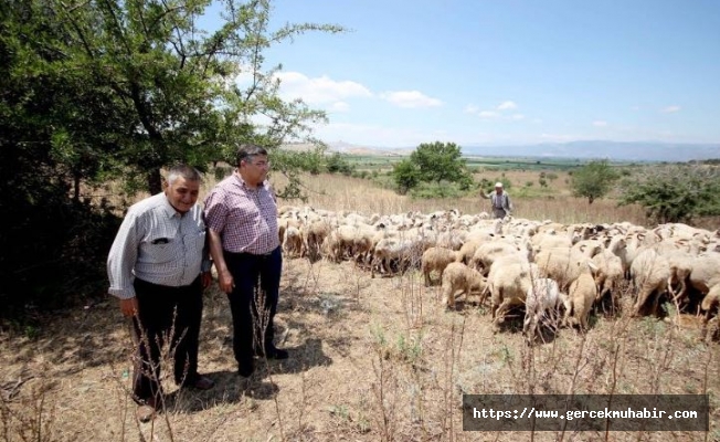 Sındır, veba salgınını Meclis gündemine taşıdı