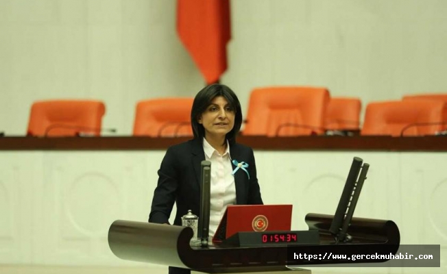 İstanbul Şehir Üniversitesi Meclis Gündeminde