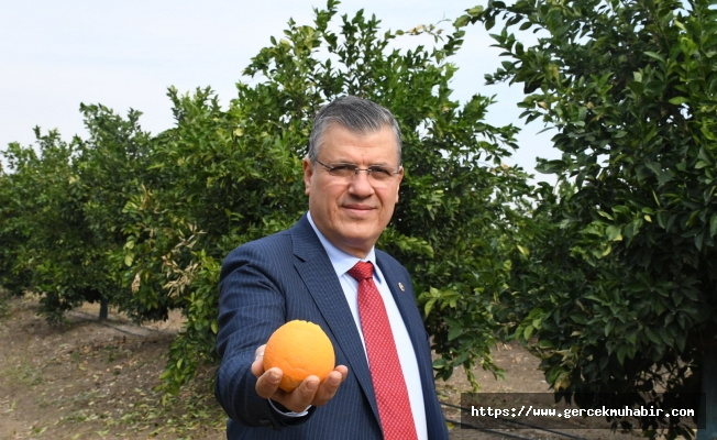 "Narenciyede DFİF destekleri derhal ödensin"