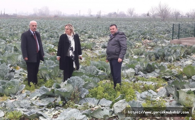 "Çiftçimiz, haramilerle hesaplaşmadıkça gün yüzü görmeyecek"