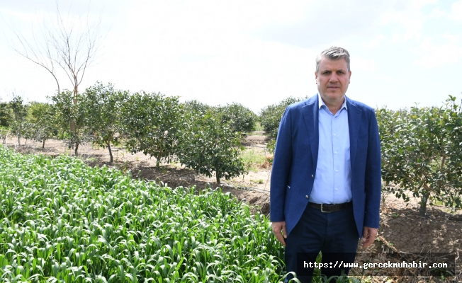 "Çiftçi üretmezse gıda fiyatları uçar"