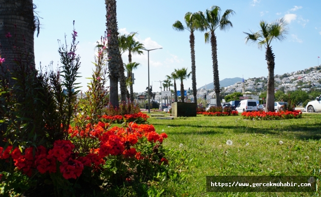 Muskebi Botanik Bitki Cicek Peyzaj Bodrum Bahce Facebook