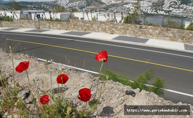 BODRUM YOLLARINDA GENİŞ KAPSAMLI ÇALIŞMA