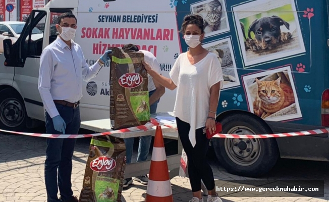 Seyhan, sokak hayvanlarına sahip çıkıyor