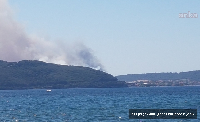 Çanakkale'de orman yangını