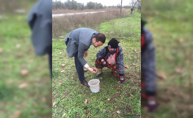 CHP'li Akın, Zeytin üreticisinin sesi oldu