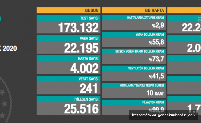 Koronavirüse 241 can daha