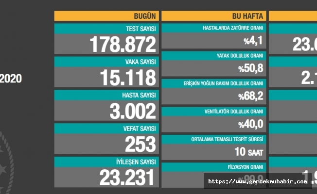 Koronavirüse 253 can daha