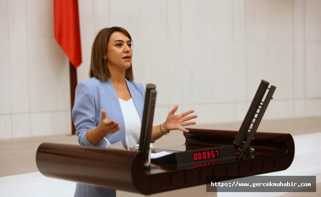 Taşcıer: Demokrasi Yolundaki En Önemli Adımlardan Biri