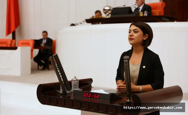 Taşcıer, Skandal İfadeleri Meclis Gündemine Taşıdı