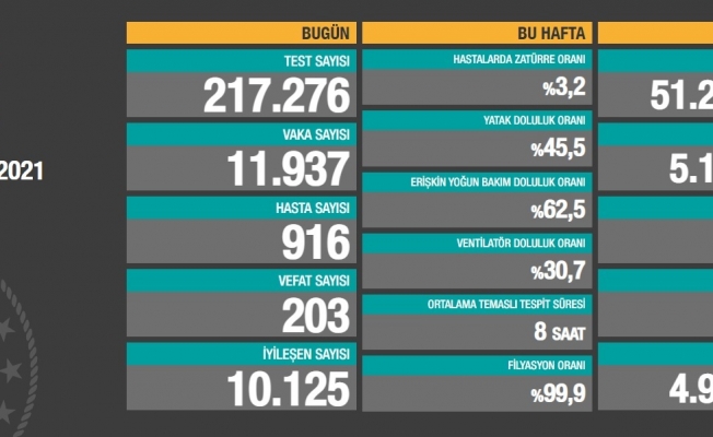 Koronavirüse 203 can daha