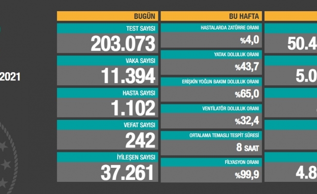 Koronavirüse 242 can daha