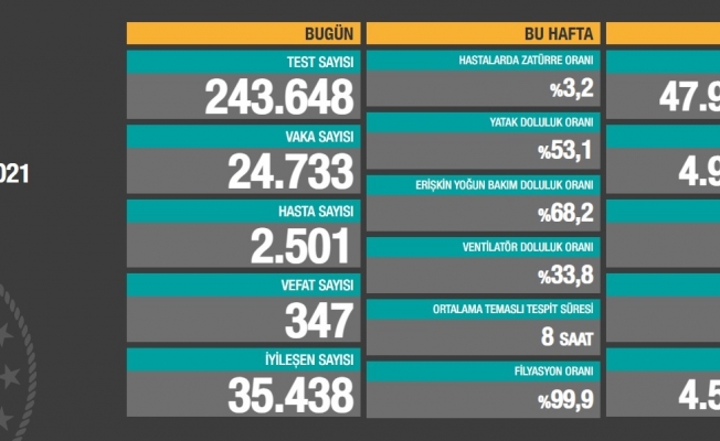 Koronavirüse 347 can daha