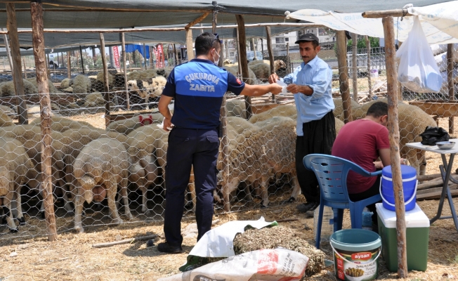 Çukurova Zabıtasından bayram öncesi denetim