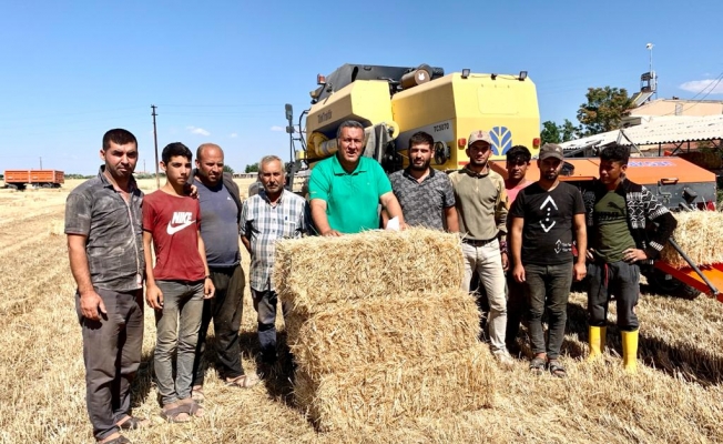 Saman Fiyatları 'Altın' Gibi...