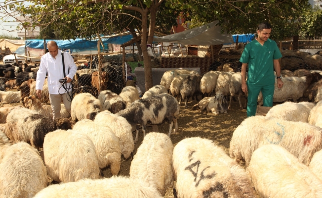 SEYHAN’DAN ÜCRETSİZ KURBAN KESİM HİZMETİ