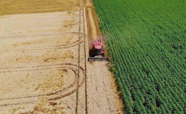 Son bir yılda 46 bin çiftçi tarımdan uzaklaştı