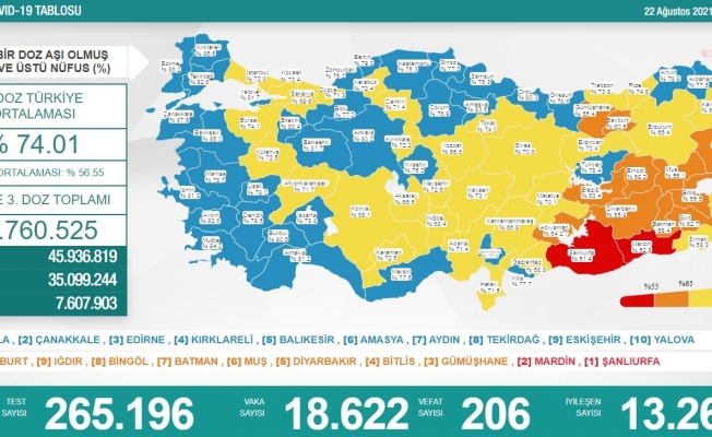 Koronavirüs nedeniyle 206 kişi daha yaşamını yitirdi