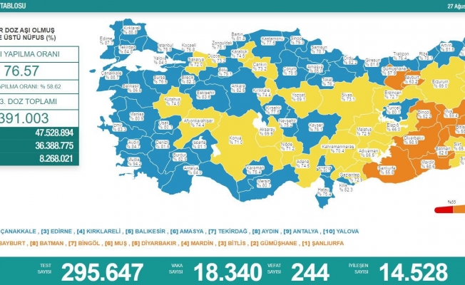 Koronavirüs nedeniyle 244 kişi daha yaşamını yitirdi