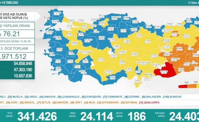 Koronavirüs nedeniyle 186 kişi daha yaşamını yitirdi