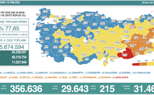 Koronavirüs nedeniyle 215 kişi daha yaşamını yitirdi