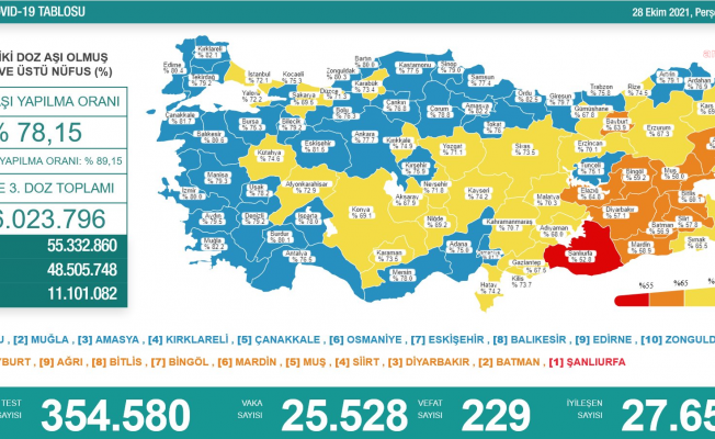 Koronavirüs nedeniyle 229 kişi daha yaşamını yitirdi