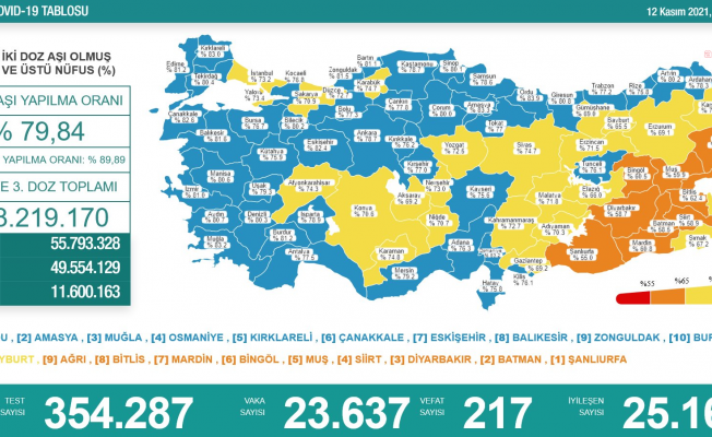 Koronavirüs nedeniyle 217 kişi daha yaşamını yitirdi