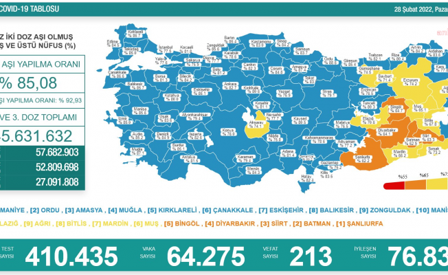 Koronavirüs nedeniyle 213 kişi daha yaşamını yitirdi