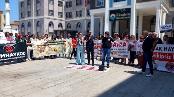 Hayvan Hakları Dernekleri, 300 köpeği öldürdüğünü iddia ettikleri Samsun İlkadım Belediyesi’ni protesto etti