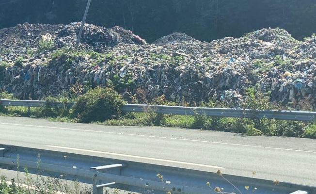 Artvin’in Arhavi ilçesinde Karadeniz Sahil Yolu kenarına dökülen çöpler vatandaşların tepkisine neden oldu