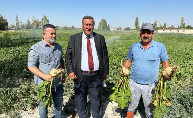 Gürer, Şekerpancarında taban fiyat artırılsın