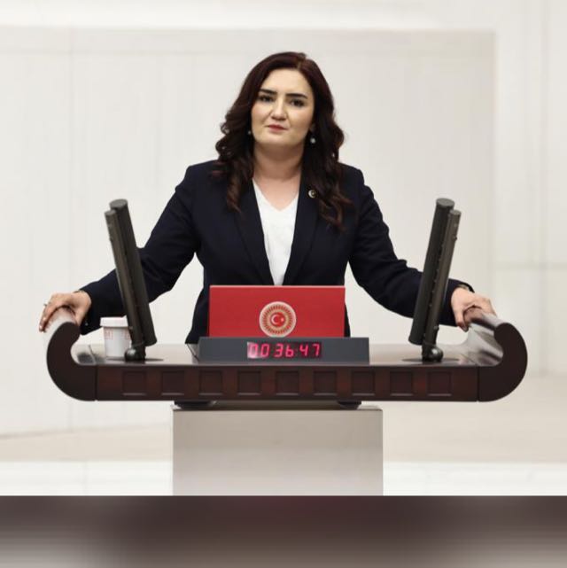 CHP İzmir Milletvekili Sevda Erdan Kılıç: “Veli Kayıp; Dosya Kısıtlı”