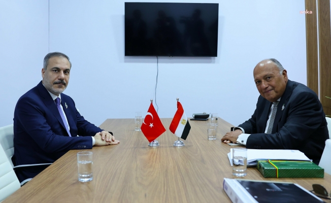 Dışişleri Bakanı Fidan, Brezilya'da Mısır Dışişleri Bakanı Şükri ile görüştü