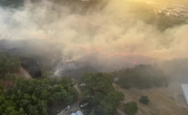 Antalya ve Muğla'da orman yangınlarında 6 hektar alan zarar gördü