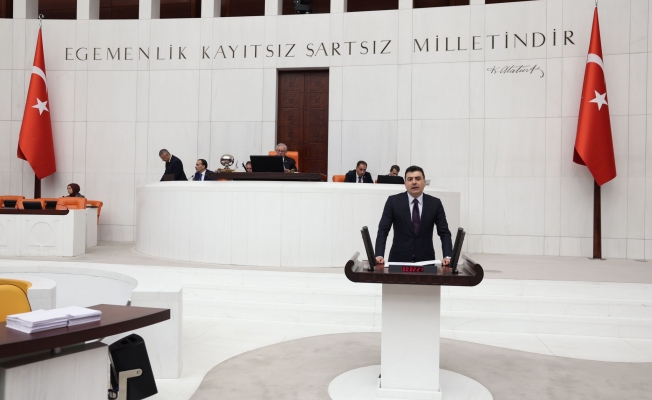 Türk göçü’ Meclis gündeminde