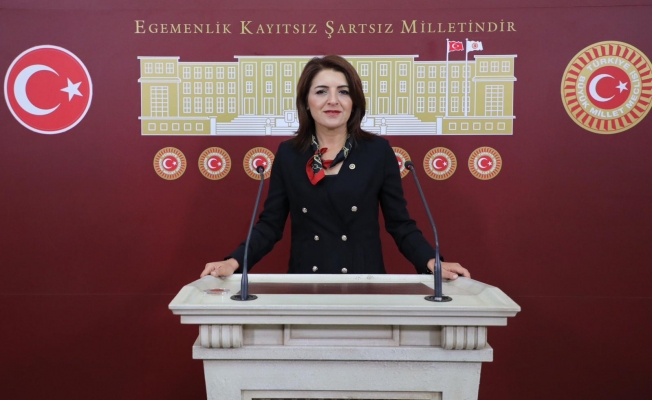 Gülcan Kış: “Eğitim Siyasetin Arka Bahçesi Olamaz”