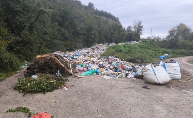 Bartın’da Yollara Dökülen Çöpler Meclis Gündeminde