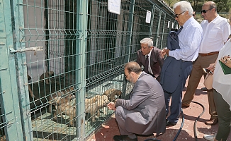 TBMM KOMİSYONUNDAN ÇANKAYA BARINAĞINA ÖVGÜ