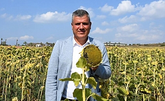 "Ayçiçeği üreticisinin mağduriyeti giderilsin"