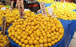 Haziran ayının zam şampiyonu limon