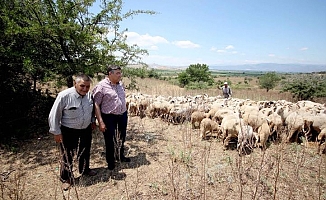 Sındır, veba salgınını Meclis gündemine taşıdı