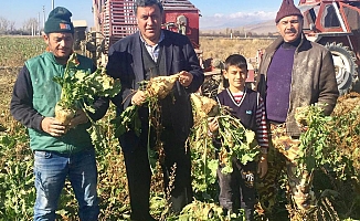 Gürer: “Şeker fabrikaları özelleşti, NBŞ’nin pazarı arttı...”