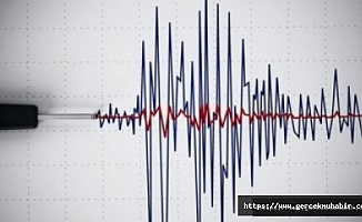 Akdeniz'de 4,3 büyüklüğünde deprem