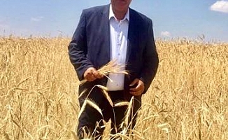 CHP'li Gürer: Buğday taban fiyatı üreticinin yüzünü güldürmedi