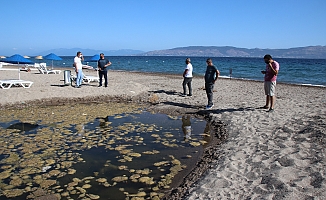 BODRUM BELEDİYESİ EKİPLERİNDEN AZMAĞA CANSUYU