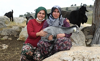 Konyaaltı’nda hayvan yetiştiricilerini mutlu eden hibe