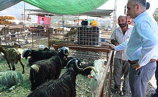 Başkan Esen: ‘Bayram hazırlıklarımız tamam’