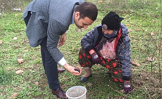 CHP'li Akın, Zeytin üreticisinin sesi oldu